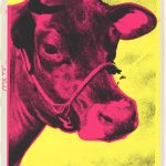 Cow by Andy Warhol (1966) | moma.org