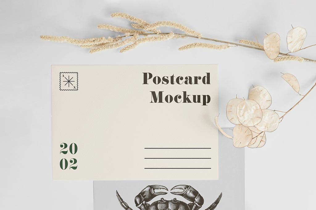 A5 Postcard with Envelope Mockup