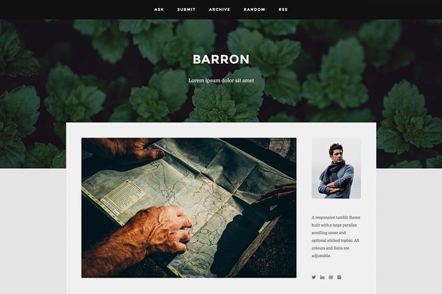 Barron - Content Focus Tumblr Theme