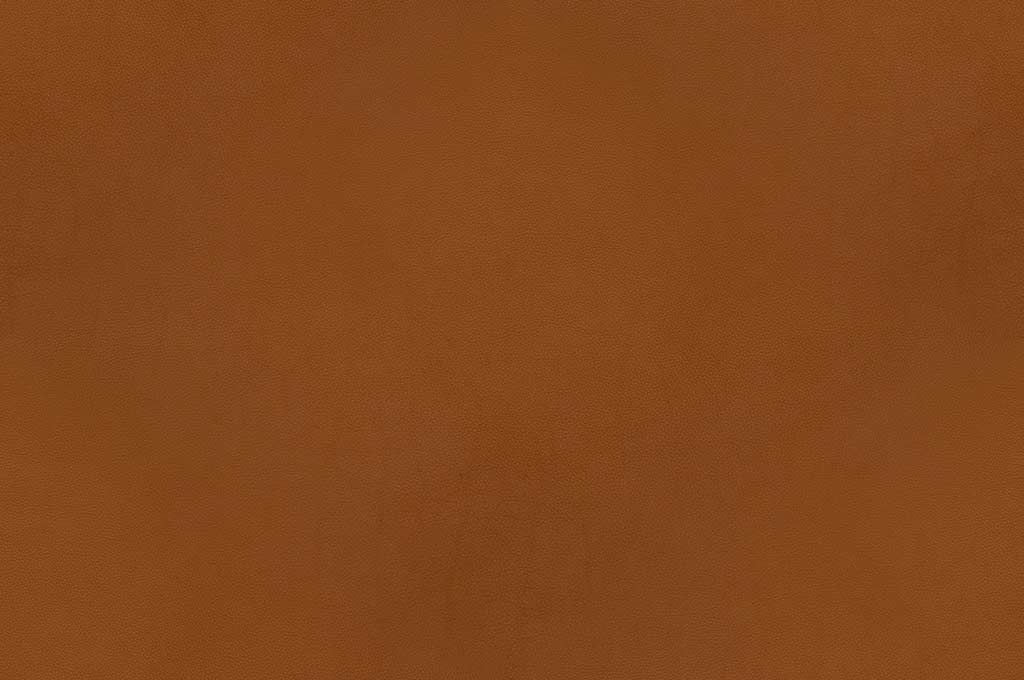 Free Leather Texture — Light Brown