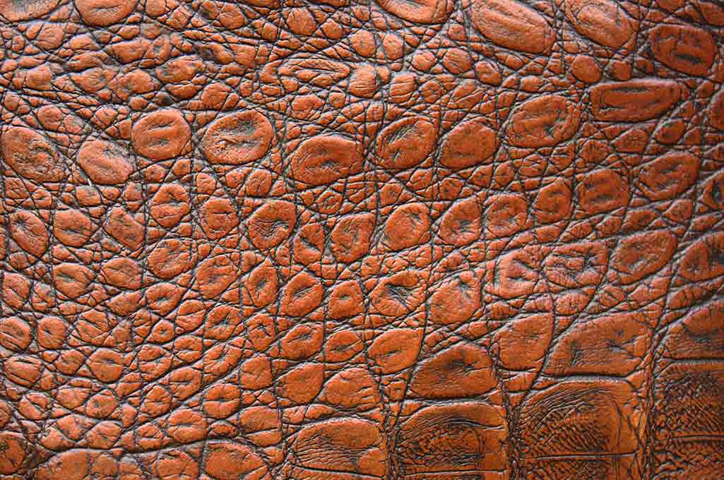 Leather Skin Texture Background