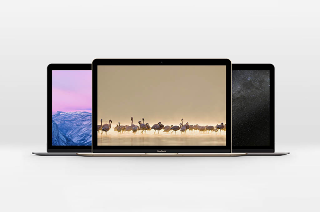 The New MacBook PSD Mockup