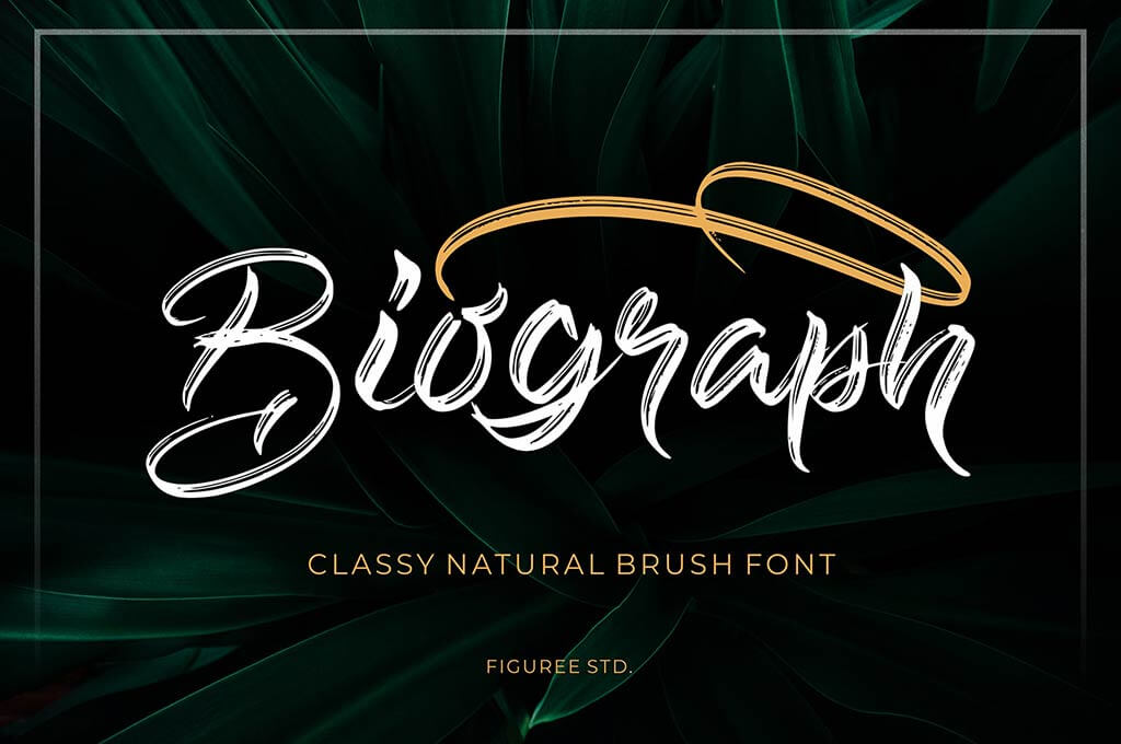 Biograph - Brush Font