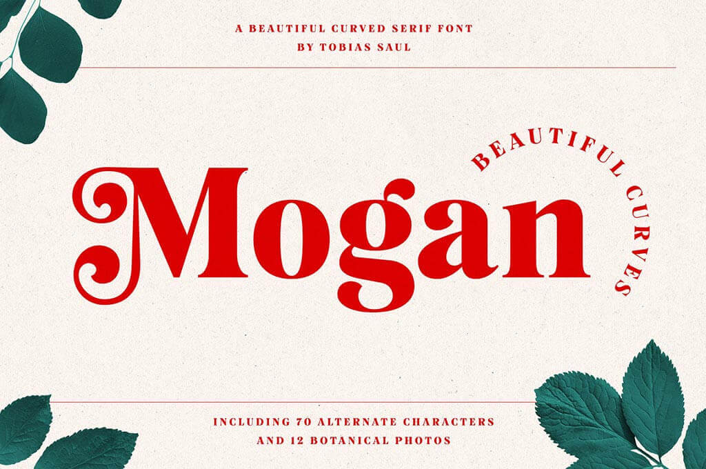 Mogan Curved Font + Extras