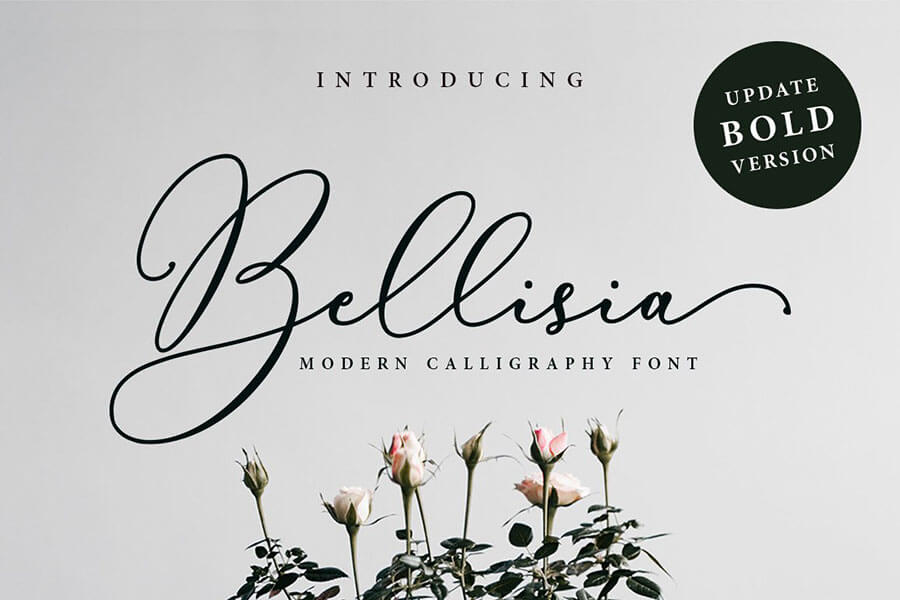 Bellisia Script + Bold Version