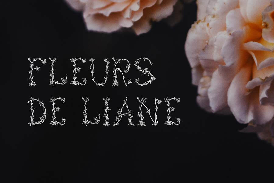 Fleurs de Liane — Indie Flower Font