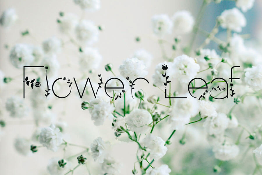 Flower Leaf Font
