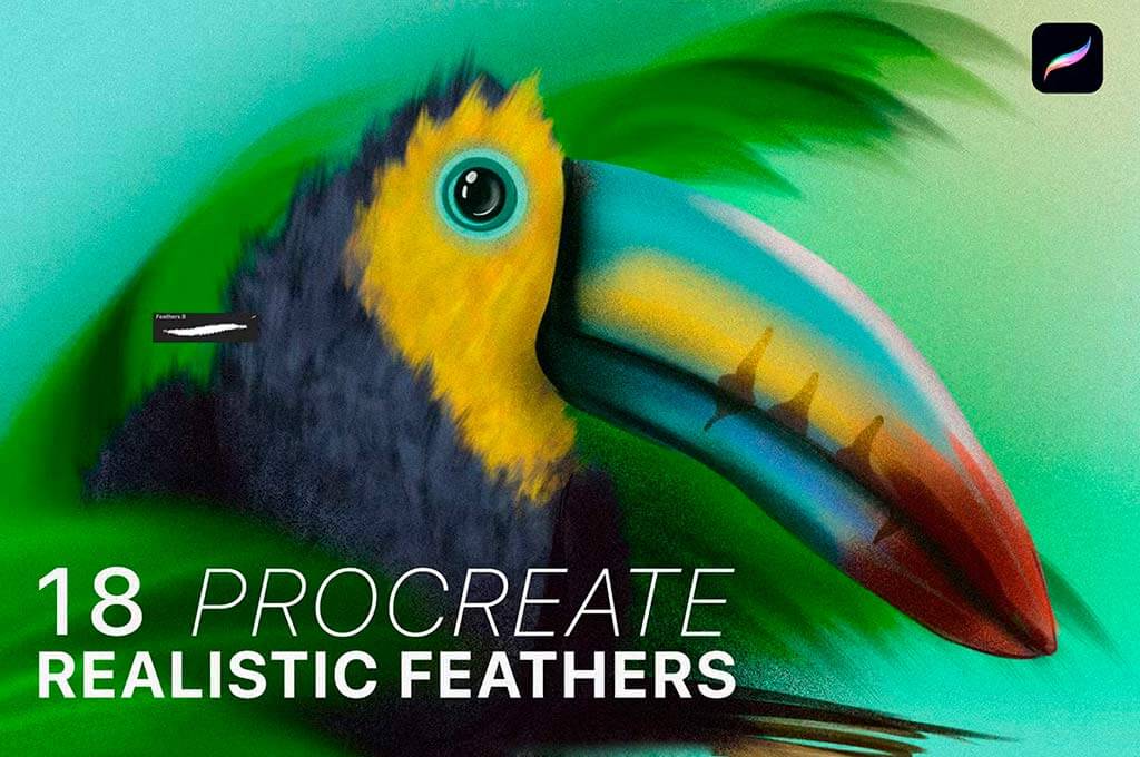 Procreate Realistic Feather Brushes