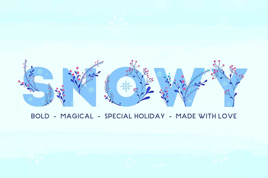 Snowy — Winter Botanical Font