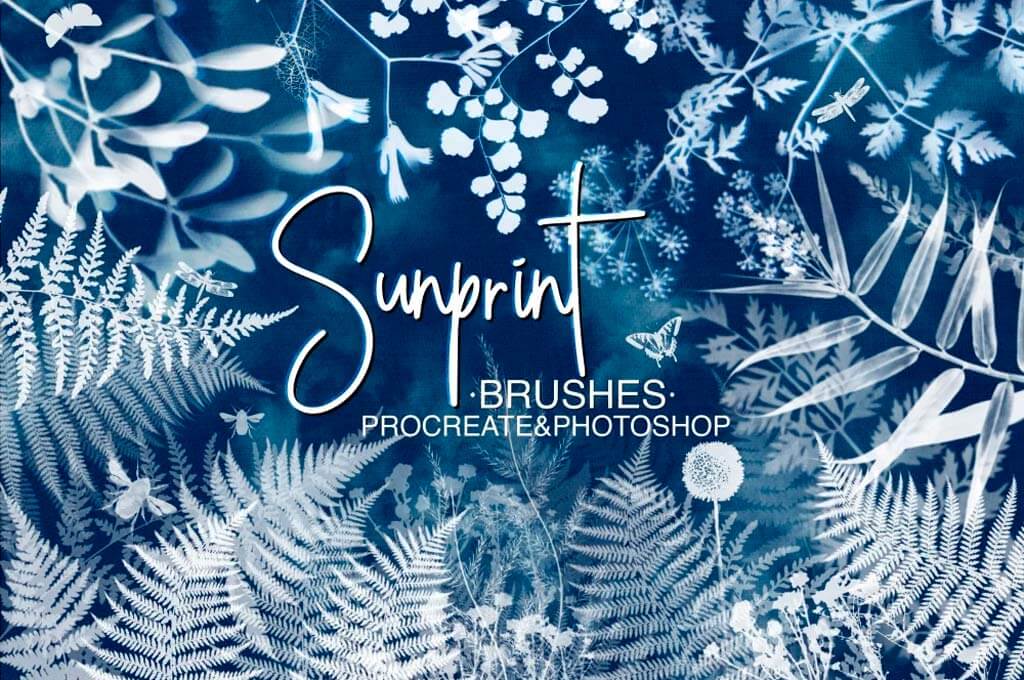 Sunprint Brushes Procreate and Photoshop