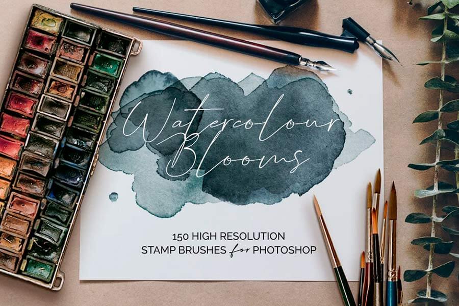 Watercolour Blooms: 150 Stamp Brushes for Photoshop