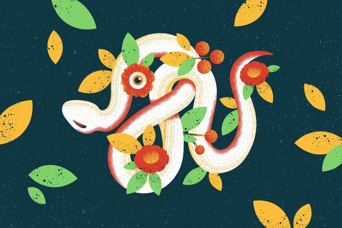 Snake Illustration for Shader Brushes Pack