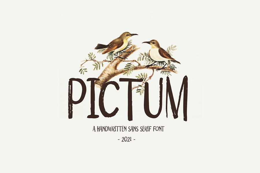 Pictum — Handwritten