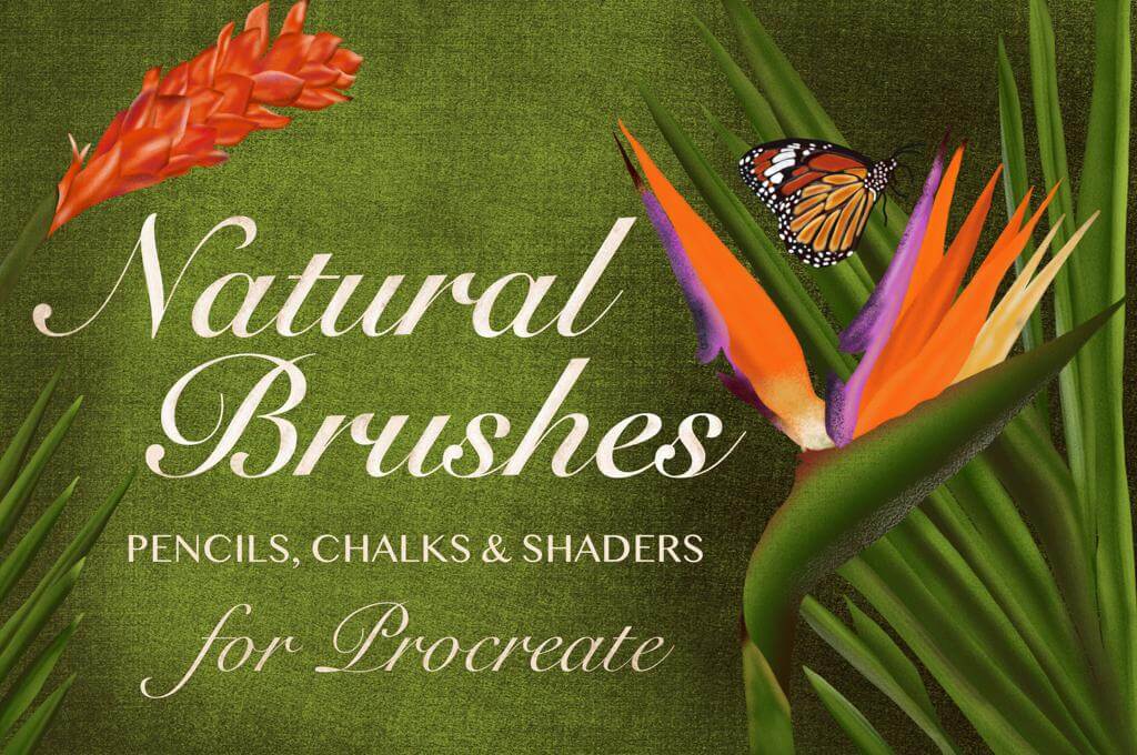 Natural Brushes for Procreate