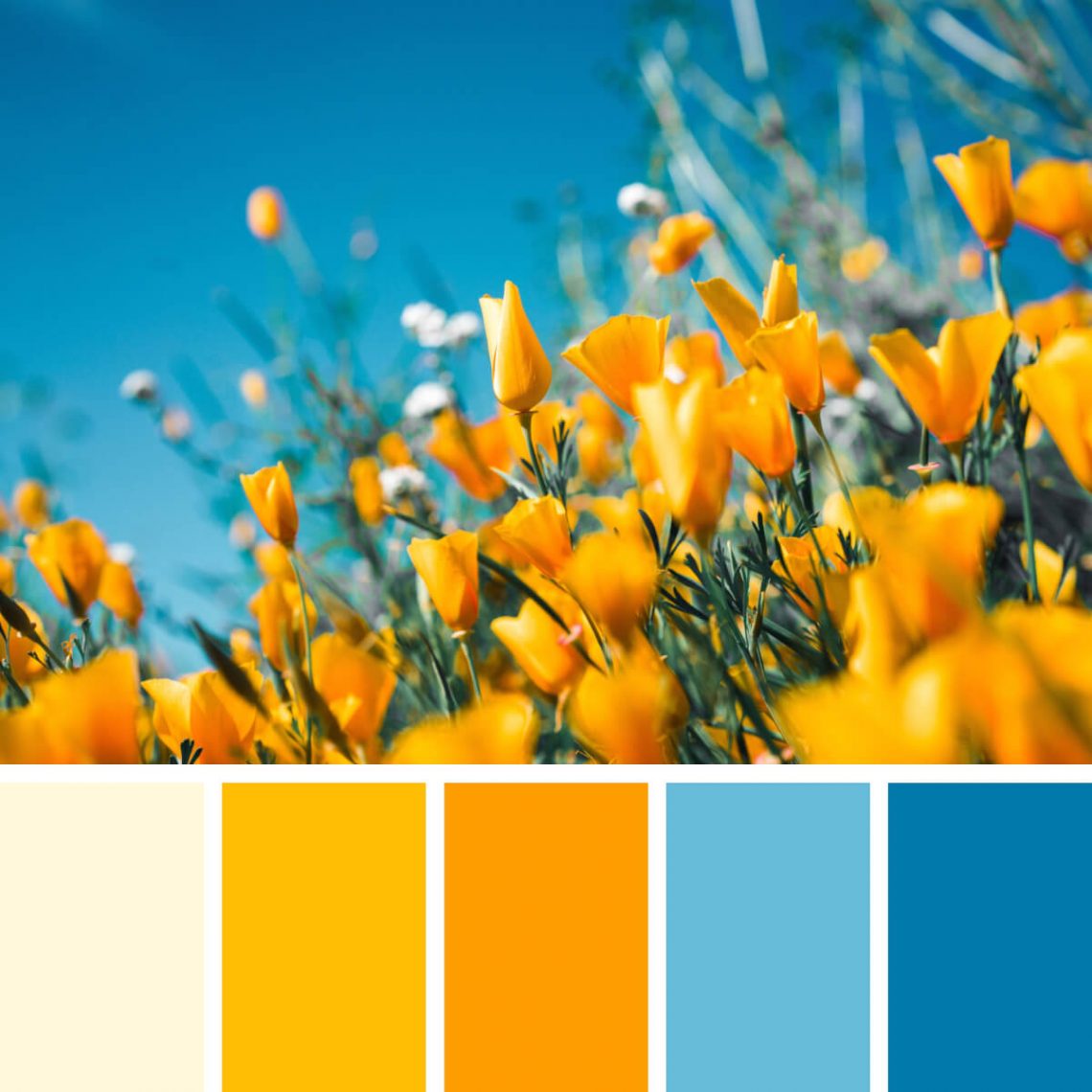 130 Eye Catching Color Combinations For Design Enthusiasts The Designest   Blooming Yellow Blues 1140x1140 