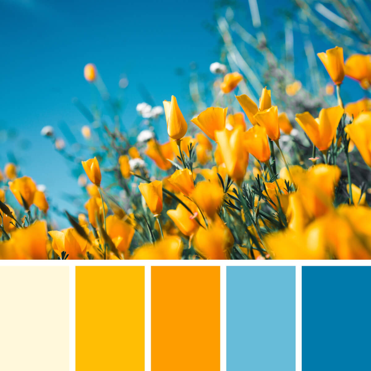 Blooming Yellow & Blues