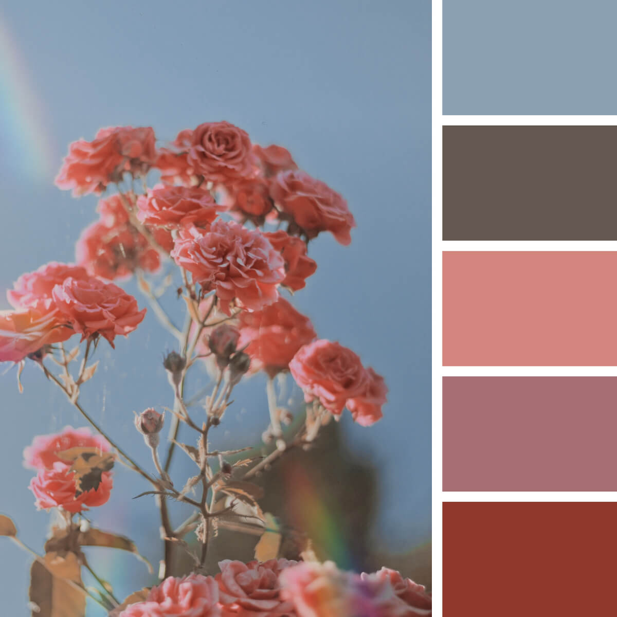 20+ Colors That Go with Red (with Color Palettes) – CreativeBooster