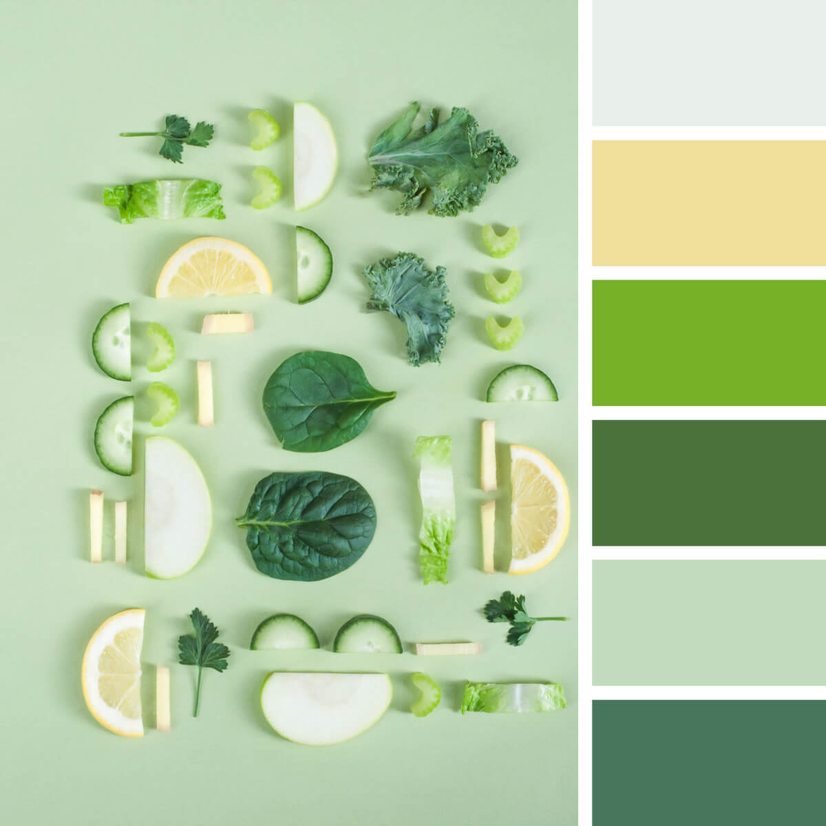 Colors That Go with Green: 20+ Gorgeous Pairings That Pop