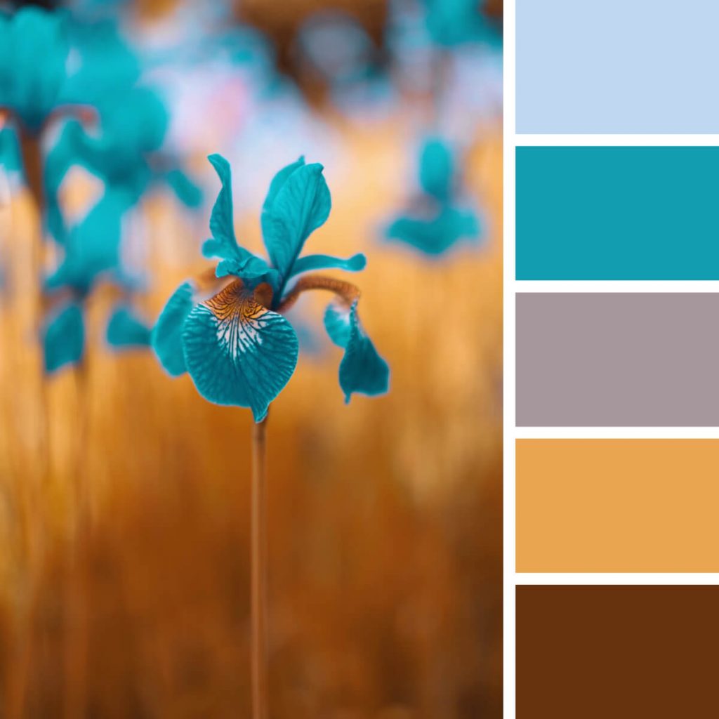 What is the Most Eye-Catching Color? Unlocking the Power of Visual Attention