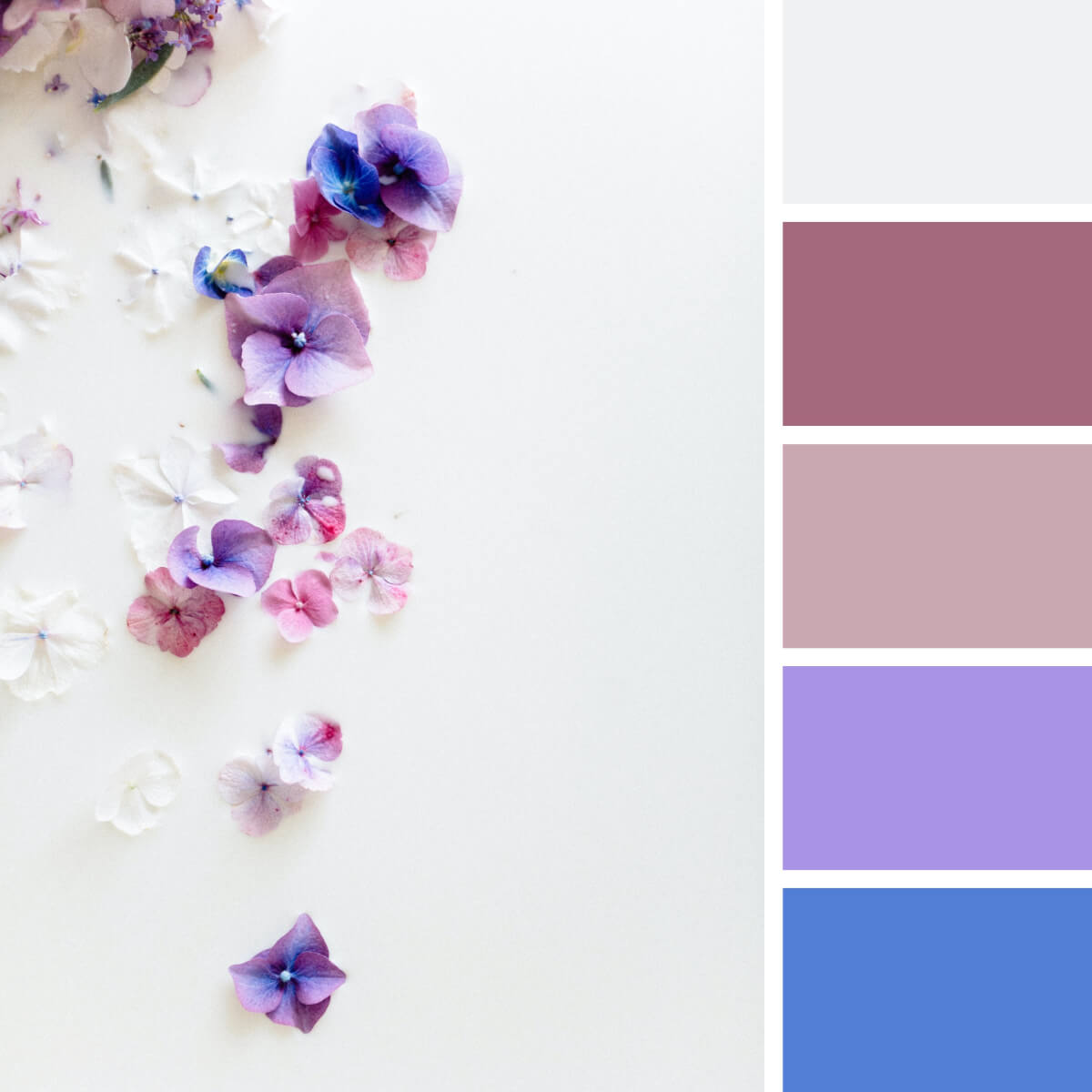 Color Set  Sunset color palette, Seeds color, Design seeds color