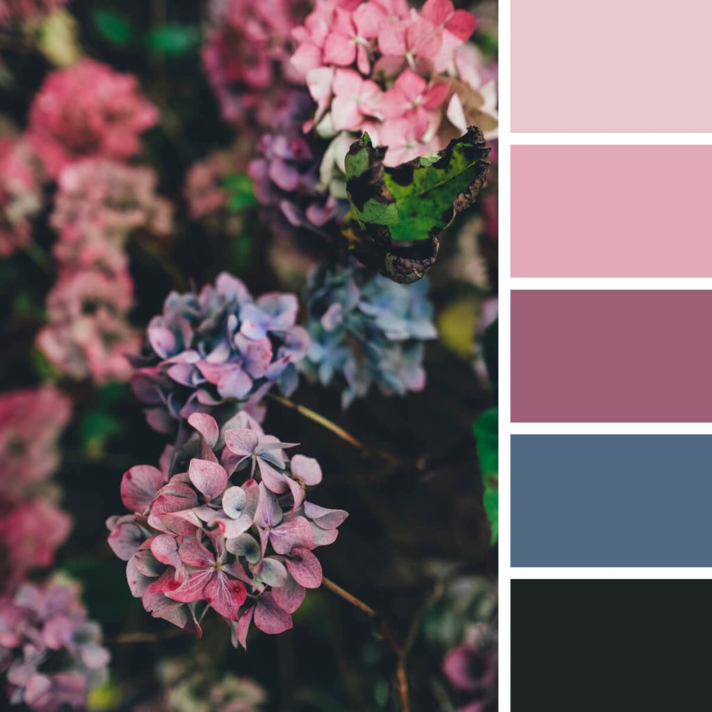 130 Eye-Catching Color Combinations For Design Enthusiasts - The Designest