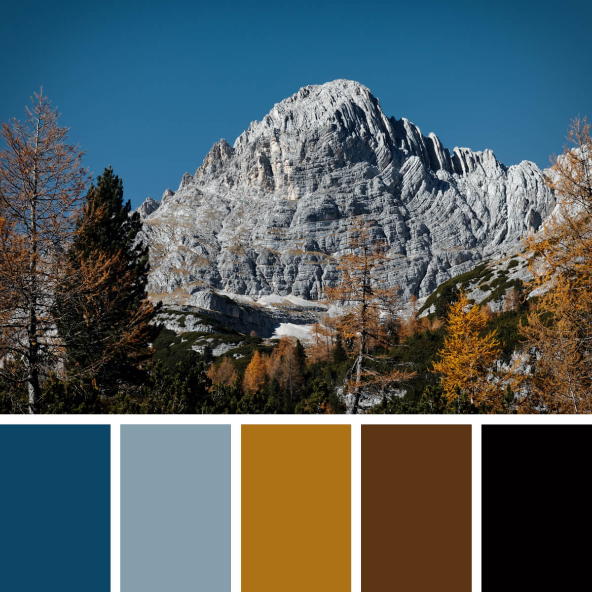 Color scheme palette image  Hex color palette, Color palette challenge,  Silver color palette