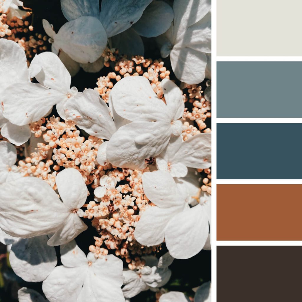 130 Eye-Catching Color Combinations For Design Enthusiasts — The Designest