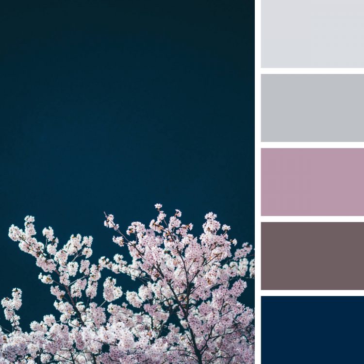 130 Eye-Catching Color Combinations For Design Enthusiasts — The Designest