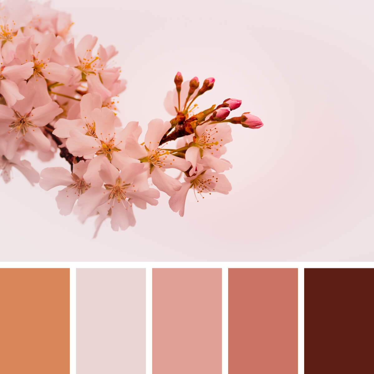 Spring Pink & Peach