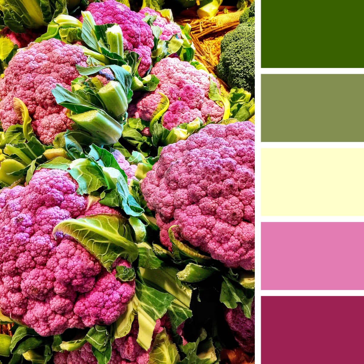 color combinations for travel