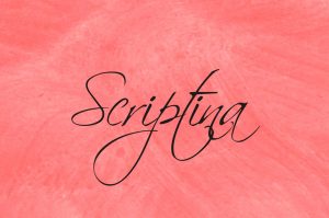 45+ Best Calligraphy Fonts (Free & Paid) - The Designest