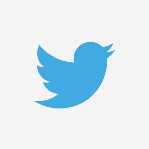 Twitter Logo