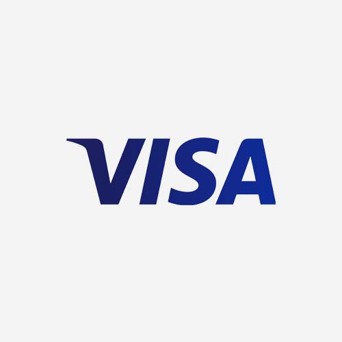 Visa Logo