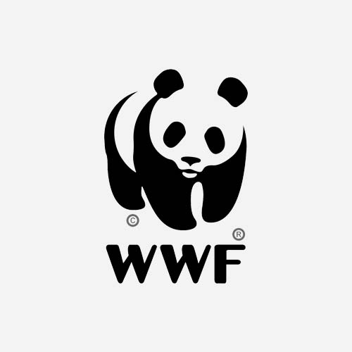 WWF Logo