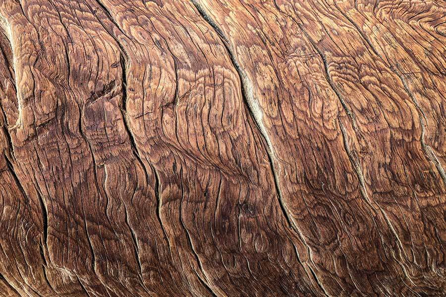 Brown Tree Bark Texture