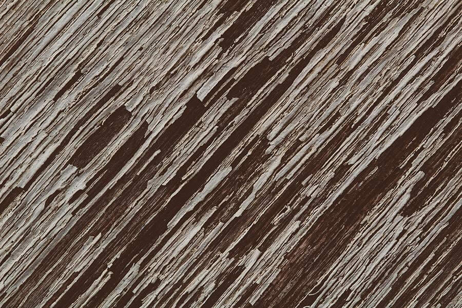 Brown Wood Bark Texture