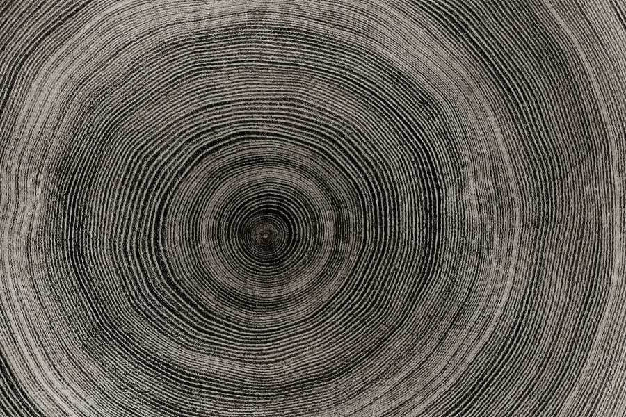 Gray Annual Rings Wood Texture