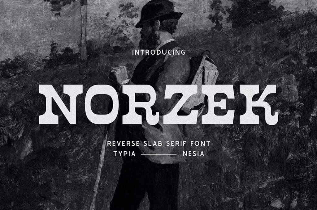 Norzek Retro Vintage Reverse Slab Serif Font