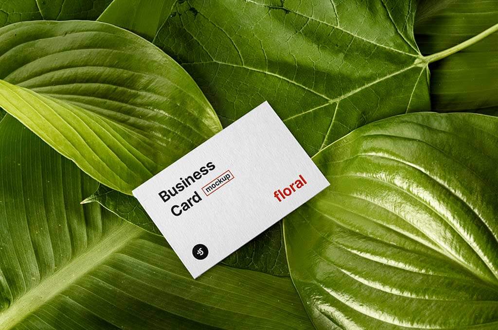 Plants and Business Card Mockup