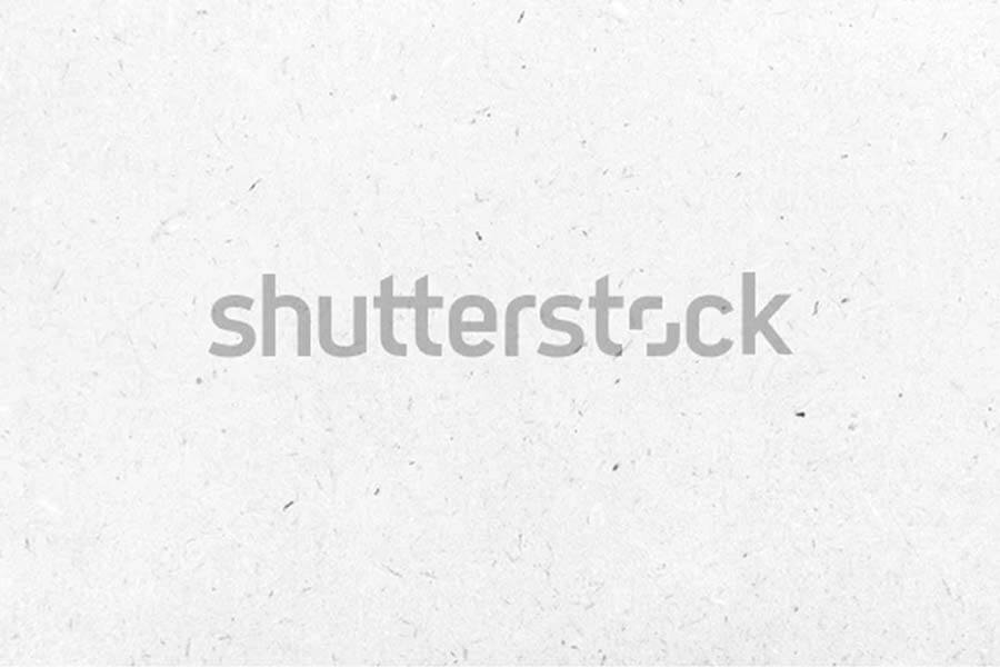 White Paper Texture Background Cardboard Surface