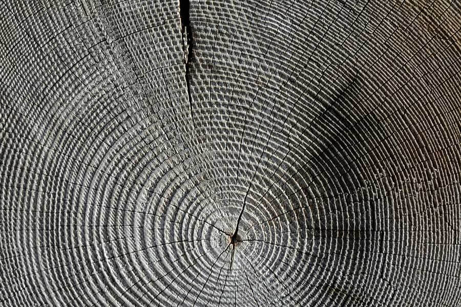 Wood Annual Rings Grain