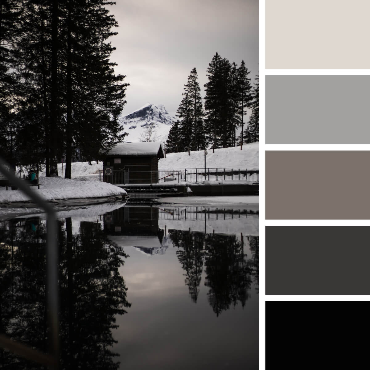 Black Color Palettes