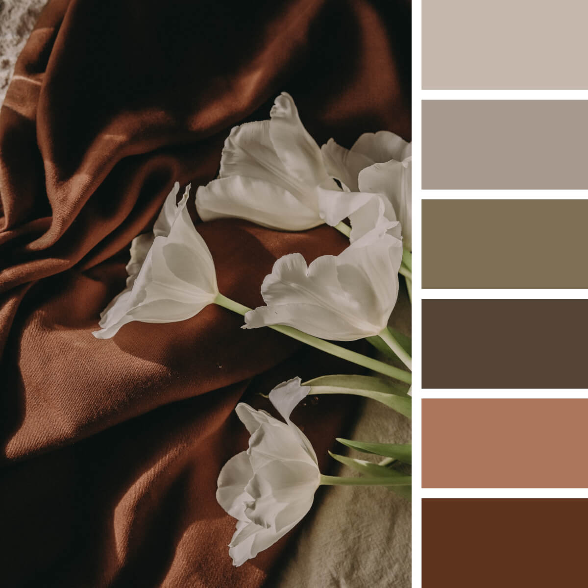 Earthly Color Palettes