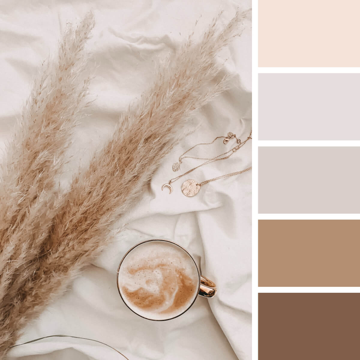 Earthly Color Palettes