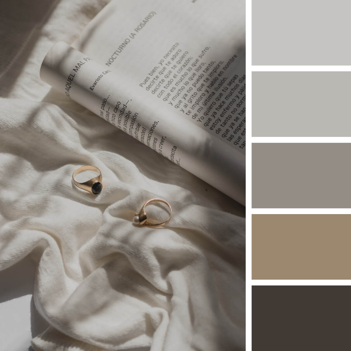 Gray & White Color Palettes