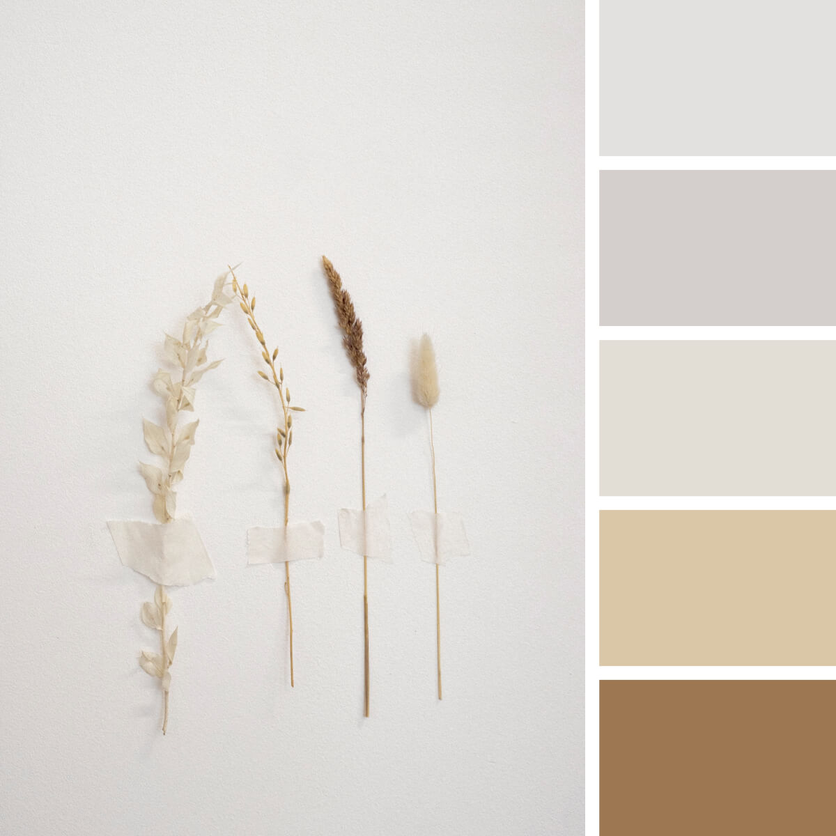 White Color Palette