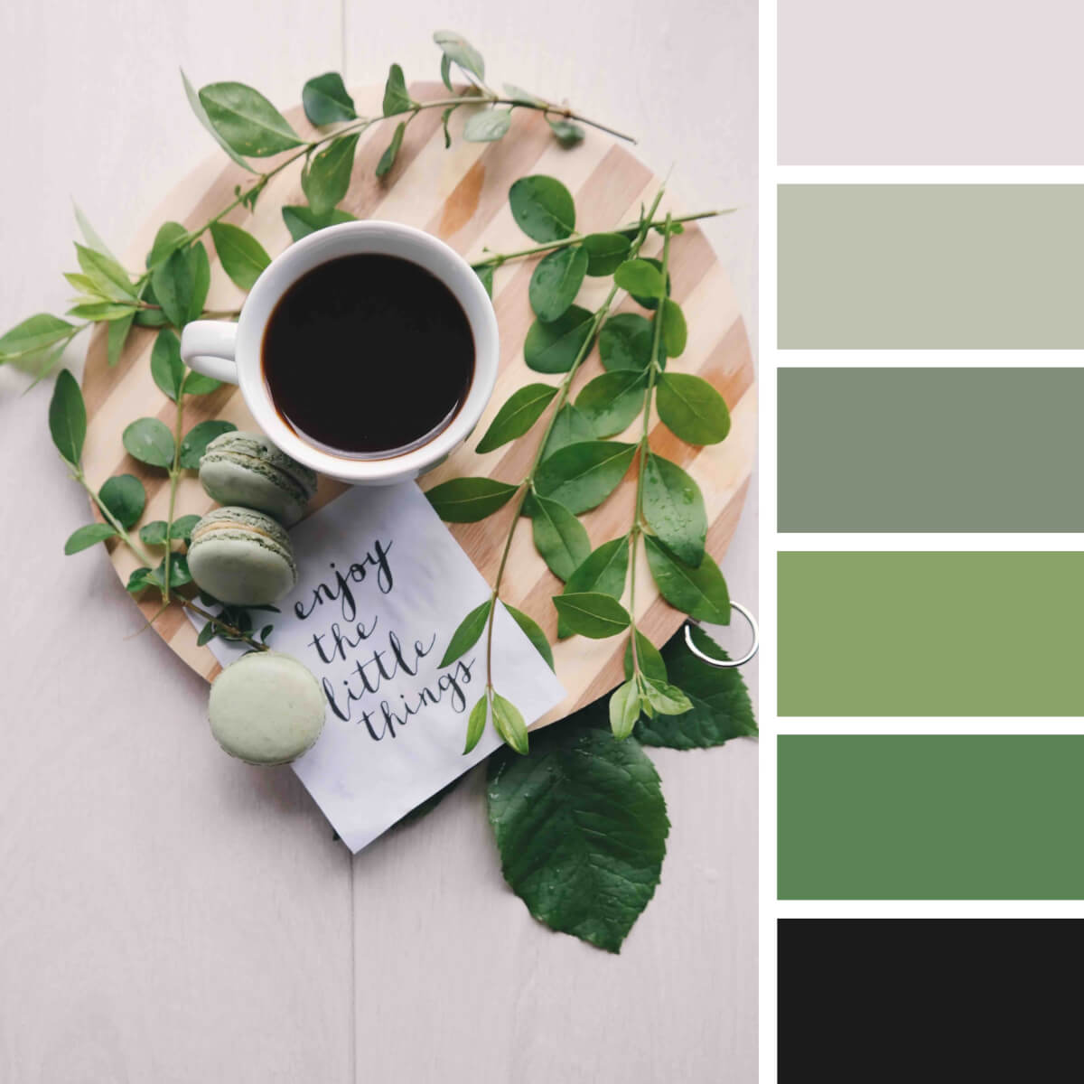 50+ Green Aesthetic Pictures, Color Palettes & Wallpapers