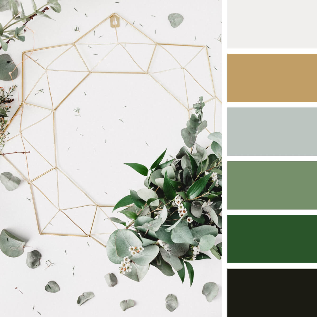 Green Color Palettes