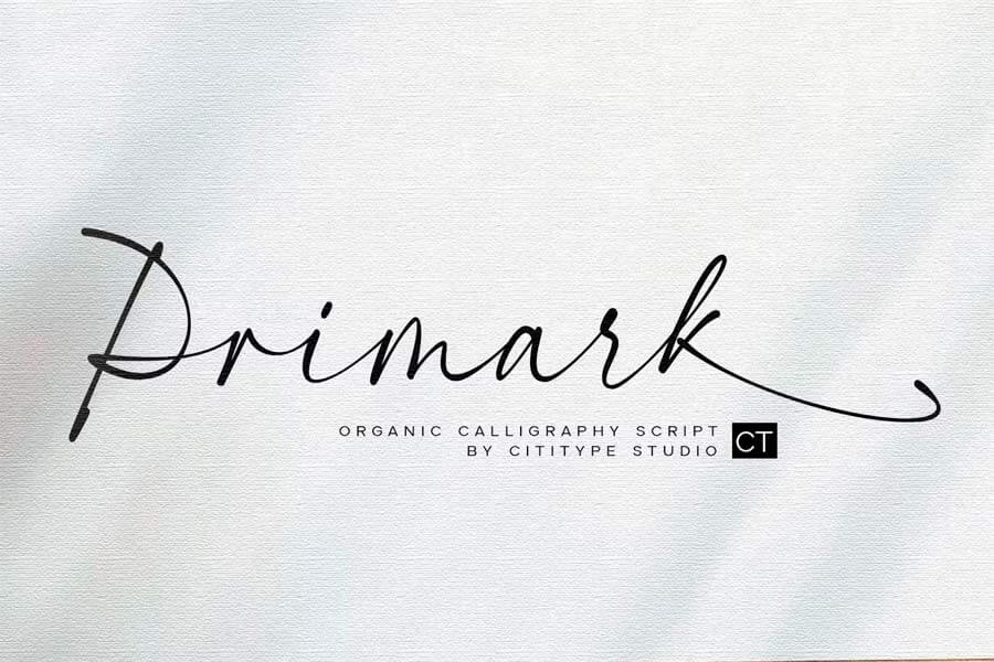 Primark — Modern Calligraphy