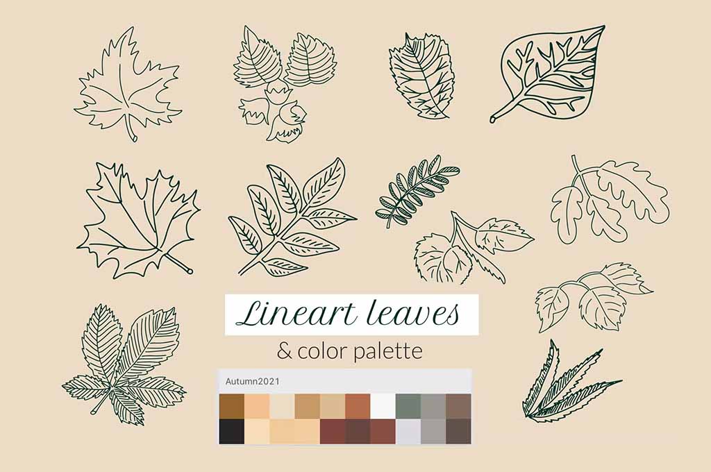Leaves Stamps for Procreate. Foliage